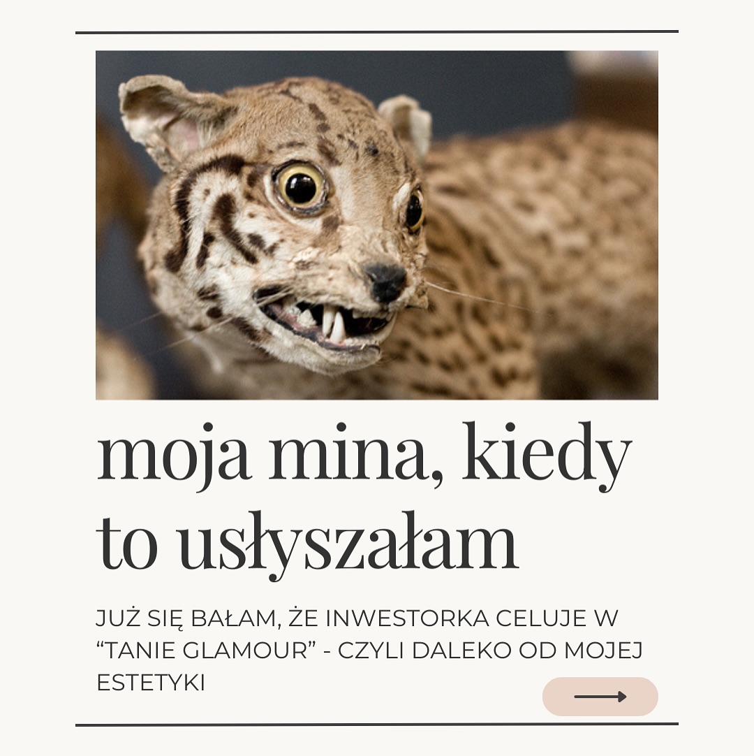 Miałam ostatnio jedno z trudniejszych zadań w mojej karierze projektanta wnętrz — 4
